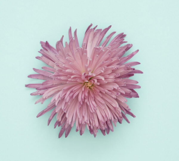 portfolio7 portfolio7